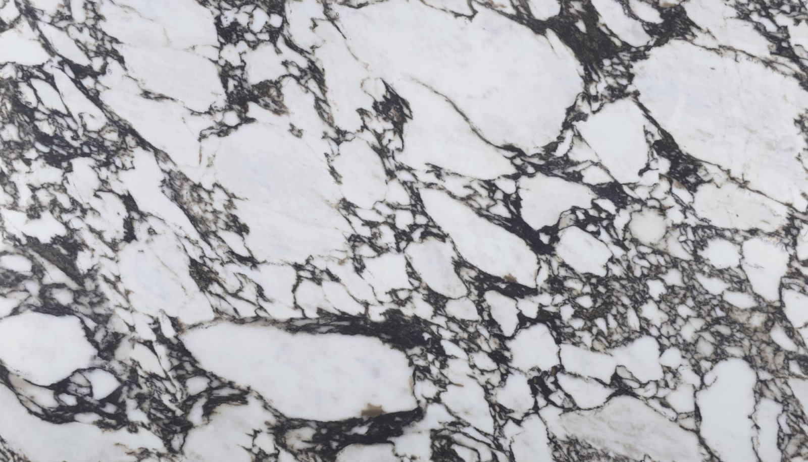 mp7031_cambodia_quartz_factory_full_body_printed_quartz